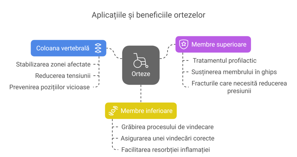 Tipuri de orteze și aplicațiile lor terapeutice - visual selection